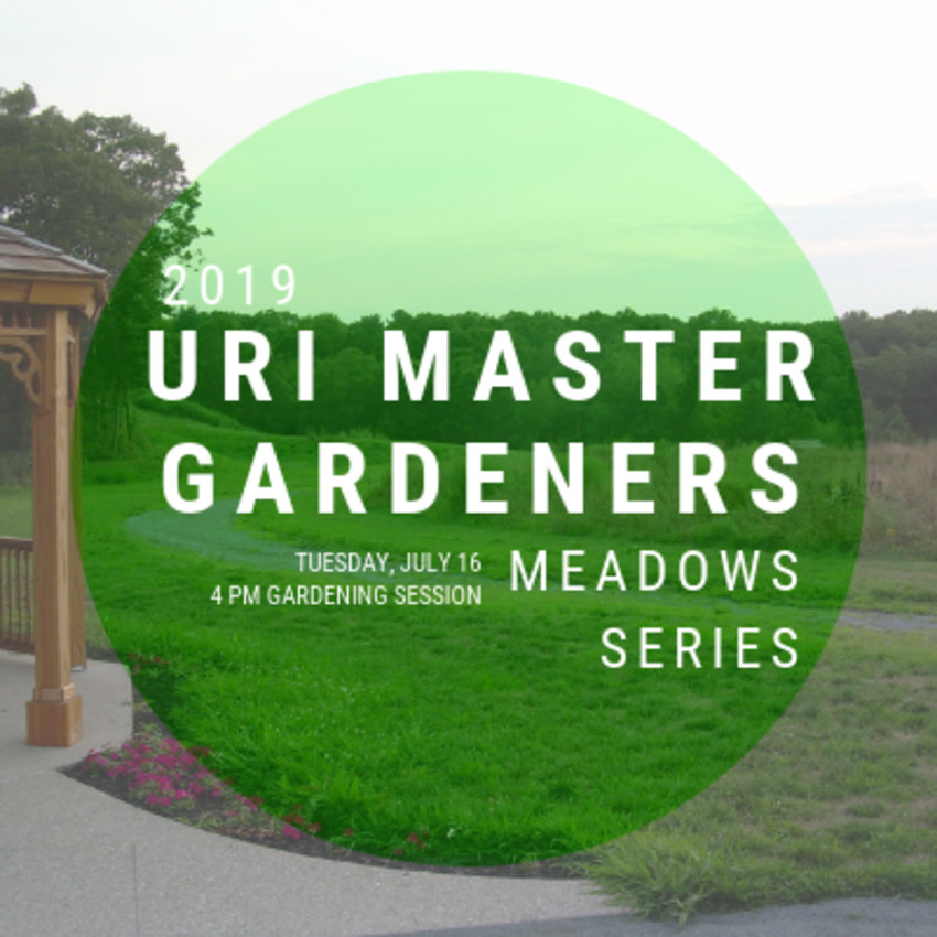 Help with Planting Tender Vegetables from URI Master Gardeners